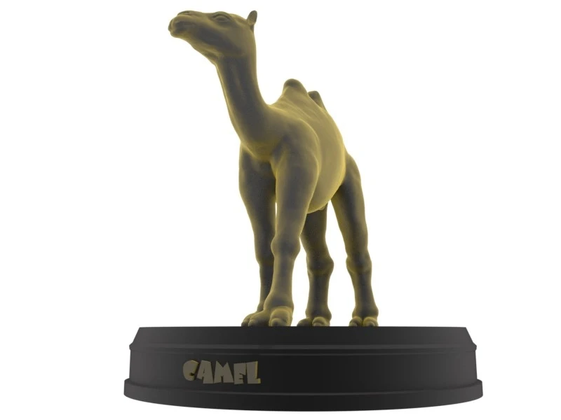 Camel3.jpg