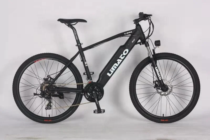 1000w fat tire electric bicycle fat wheel bike 48v 500w 60v 750w 1000w mountain bike outdoor for sale