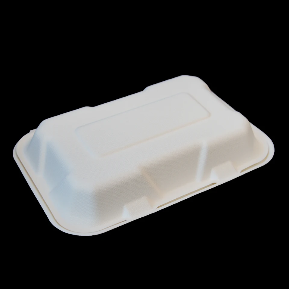 
Midsize disposable lunch box, sugarcane pulp biodegradable takeaway clamshell food container 9*6 inch 