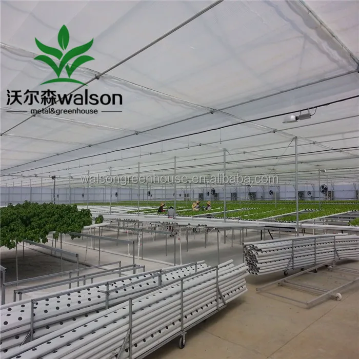 China Factory Export Cheap Greenhouse Farm Green House Design For Agriculture Production