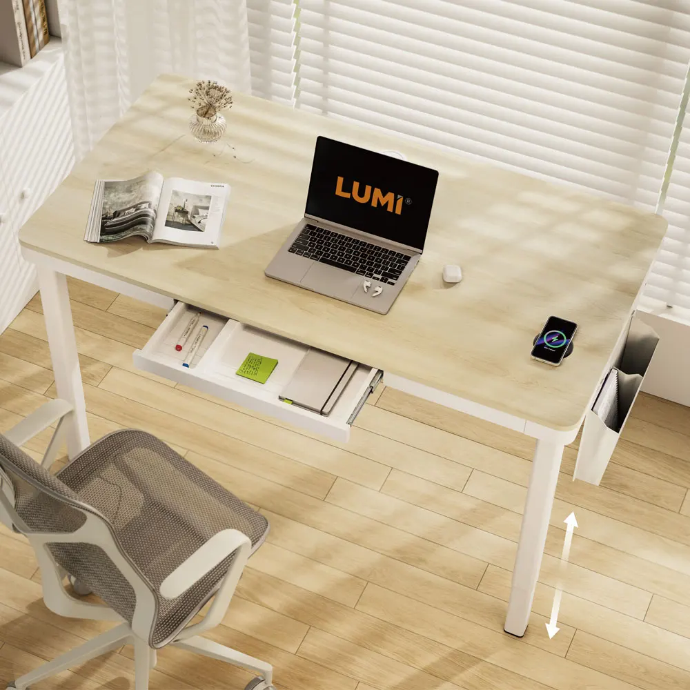 Home Office Height Adjustable Smart Ergonomic Desk Dual Motor Standing up Four-Leg Computer Table with Drawer & Wireless Charger