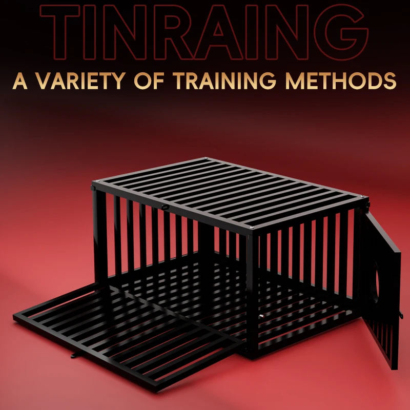 Restraint squat cultivationsex prison restricted space bondage develops role play conditioning sex toys SM Furniture Sex Cage