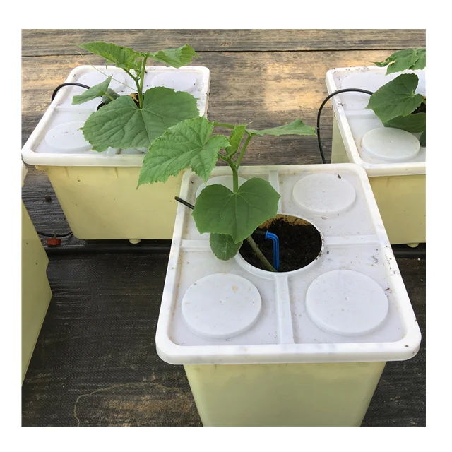 Hydroponic Dutch Bucket Bato Bucket for Hydroponic Planting