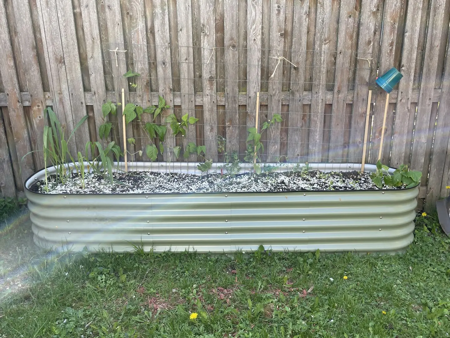 Aluzinc Raised Garden Bed Planter Box Galvanized Steel Outdoor Planters