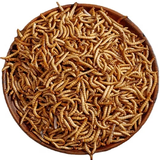 Pet food- Mealworms