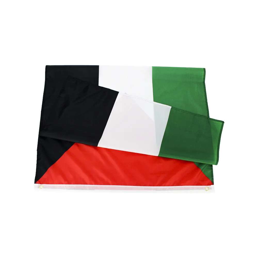 Custom 90x150cm 3x5 Ft 100% Polyester Indoor Outdoor Double Sided Red Black Green White Palestine National Country Flag
