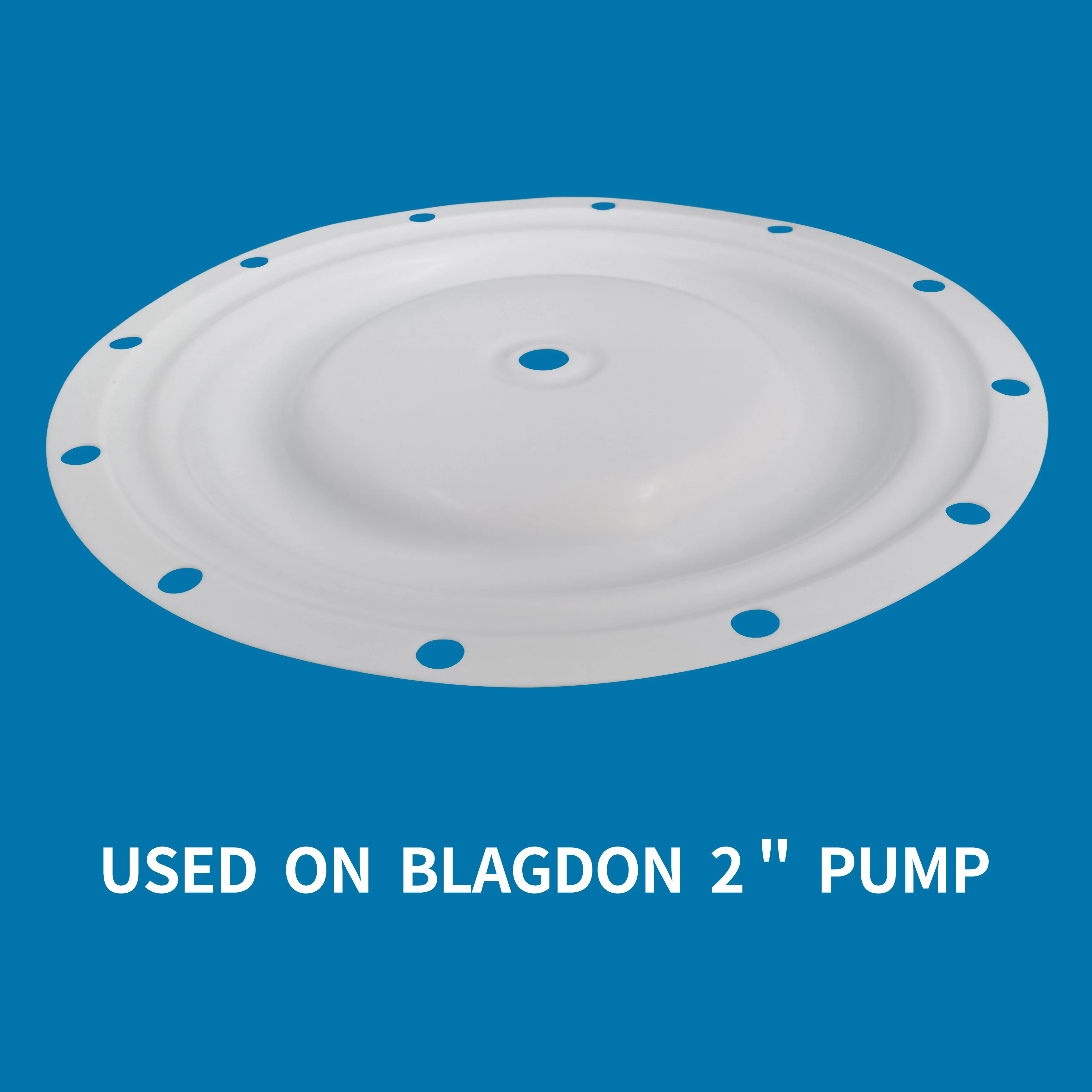 Диафрагма BLAGDON PTFE CF1B039 для воздушного