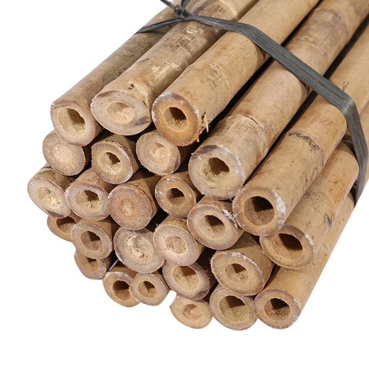 bamboo pole 305cm, 28-30mm for plant support