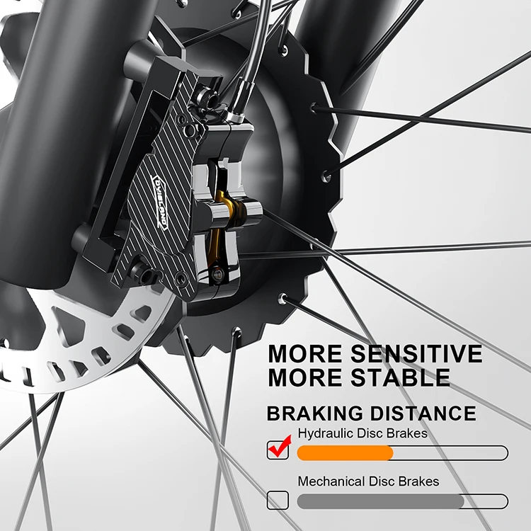 Chinese Manufacturer 48V 1000W Motor Powerful Ebike Battery Electric Bicycle Electric Bike Adult