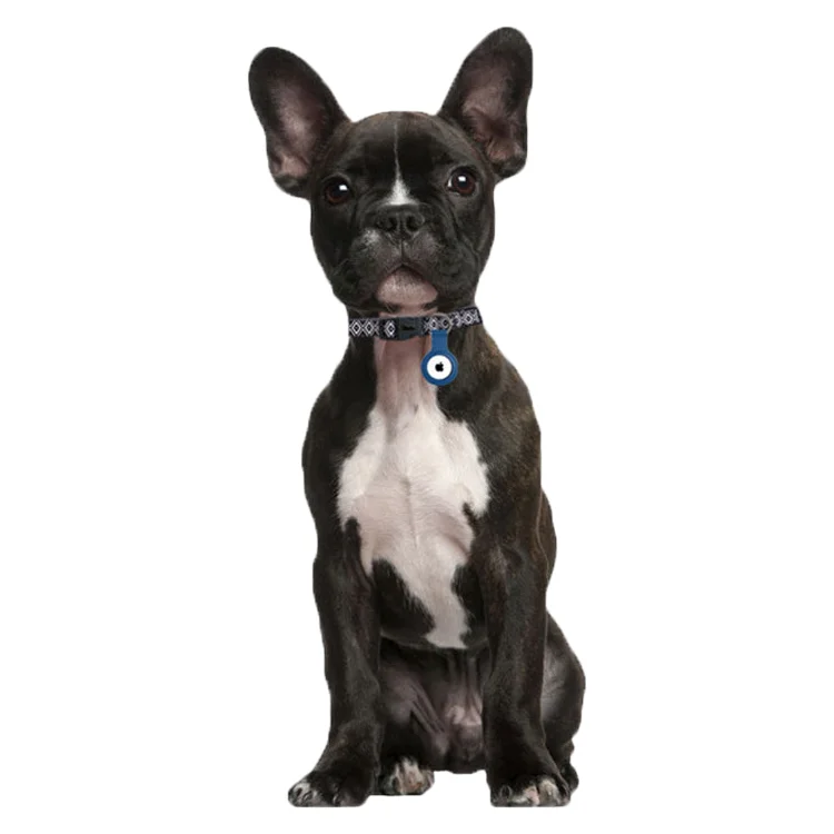 
Amazon Hot Sellings 2021 car trackers anti lost devices smart key finder pet gps 