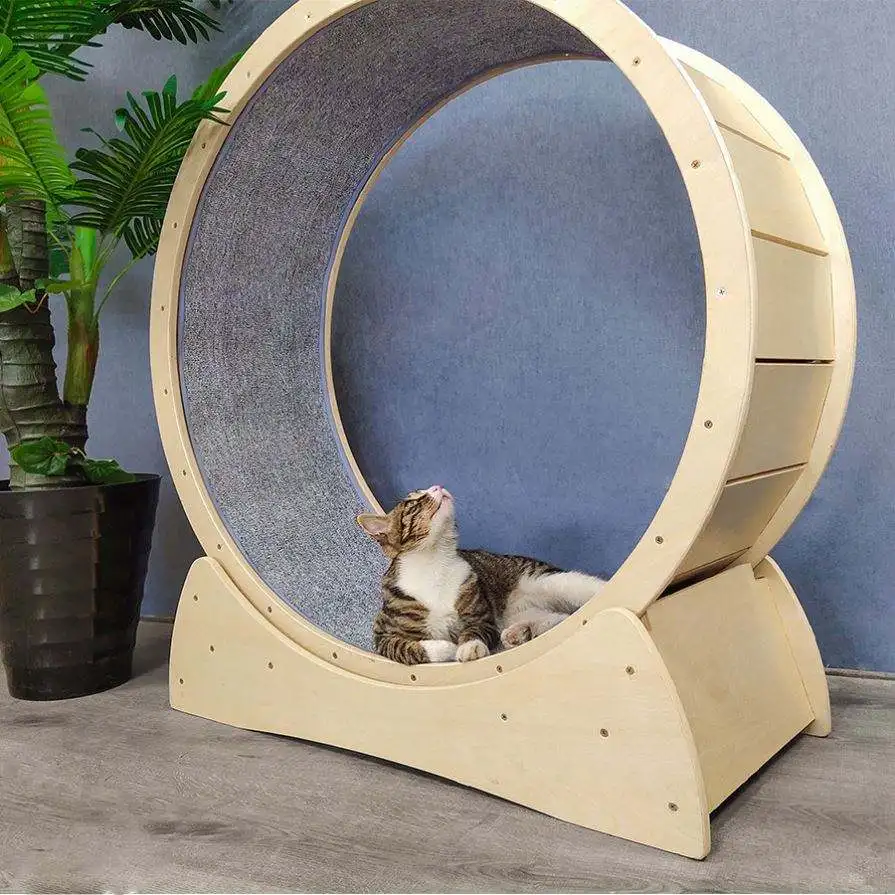 Wholesale Anti-depression Pure Wood Wooden Pet Tread Exercise Wheel Cat Pet Dog Fun Toy Treadmill