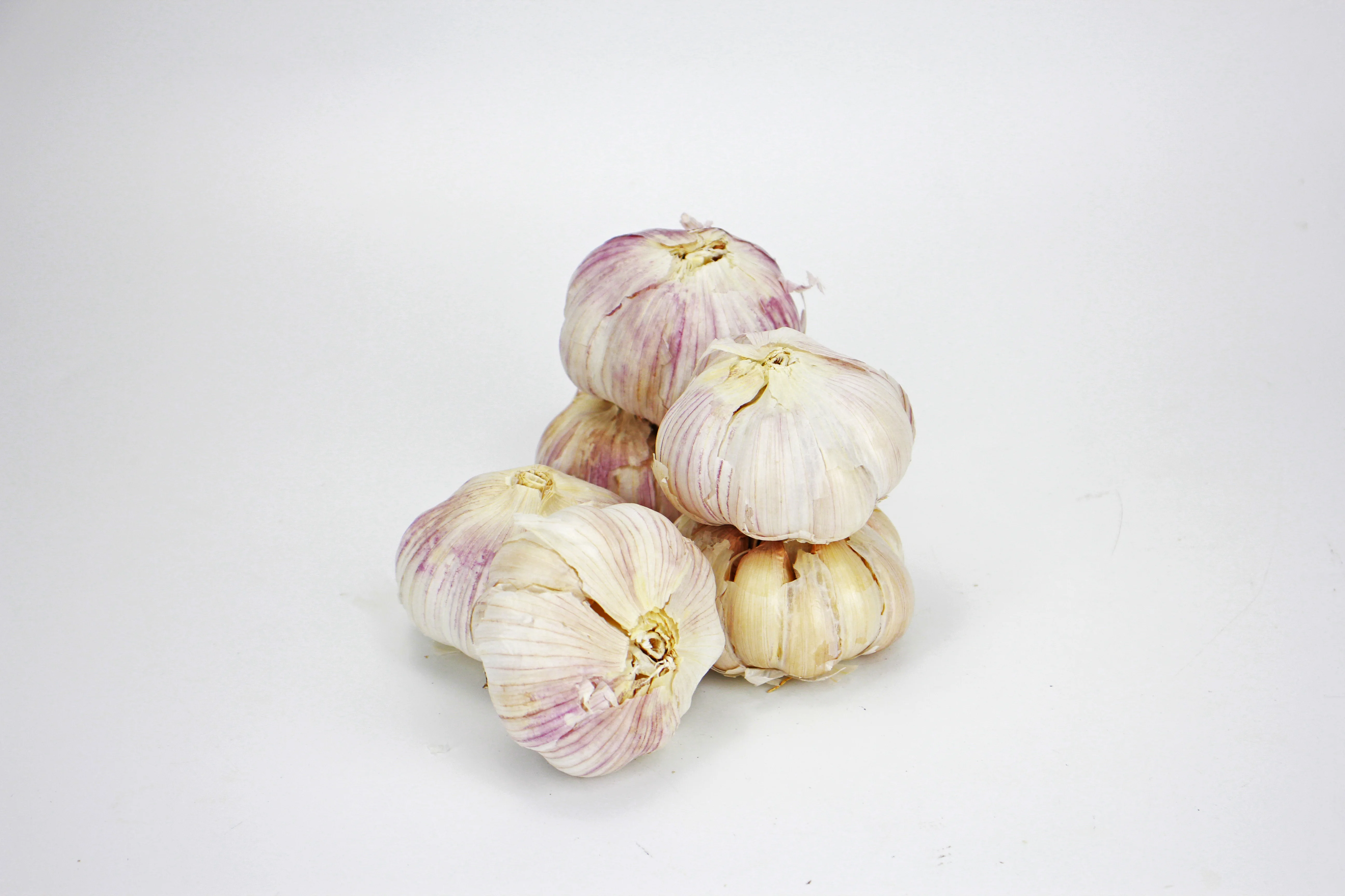 New Arrival  (4.5cm-6.5cm) For Import/Export China Organic Garlic Garlic Granules