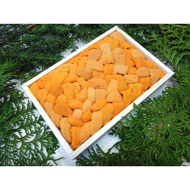 
Japanese wholesale fresh sea urchin for sale with good price 