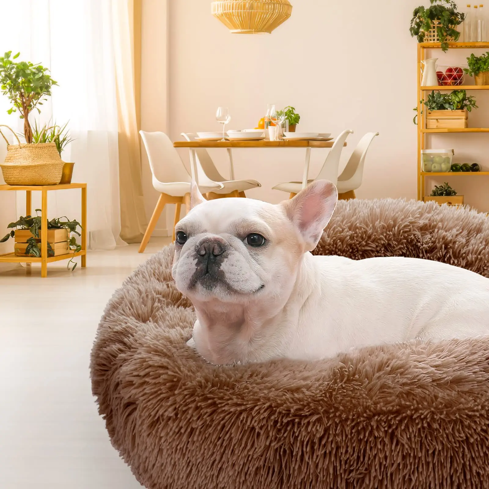 Fast Delivery Good Quality Reduce Anxiety Comfortable Washable Removable Cover Pet Dog Bed Luxury Human Boucle Dog House Bed