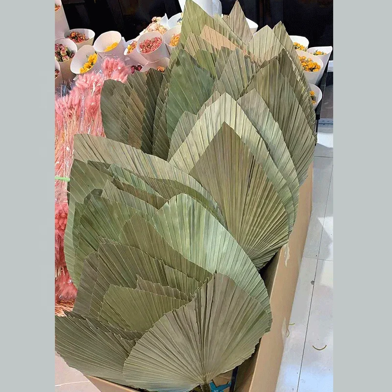 2022 New Arrivals Home Wedding decoration Flower dried palm leaves Dried flower wholesale for A-mazon