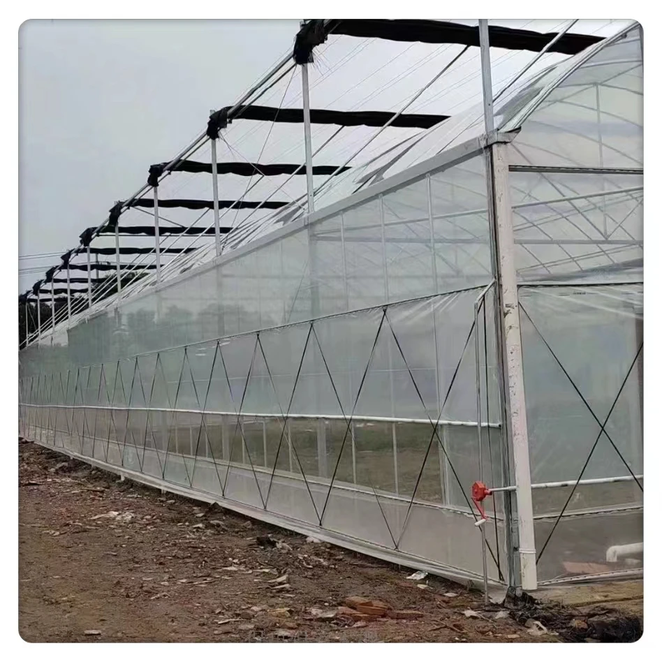 Customizable Multi-span Agricultural Garden Greenhouse Kit Large Square Steel Film Cover with Glass for Planting
