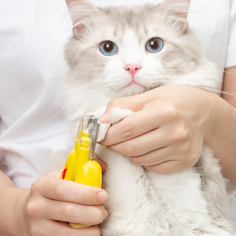 amazon hot selling soft grip stainless steel dog pet grooming nail clippers and trimmer