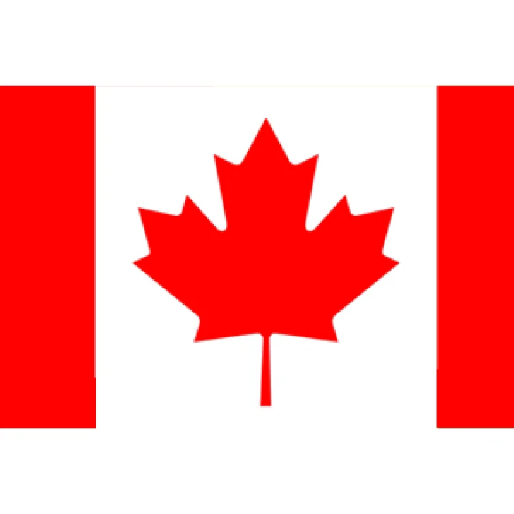 Senang02 White Brown Takeout Round Waterproof Oilproof Soup Disposable Kraft Paper Salad Bowl with lid