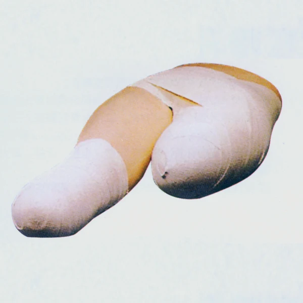 BIX-LV12 искусственные нижние бинты человеческая медицинская модель для практики студентов-медиков