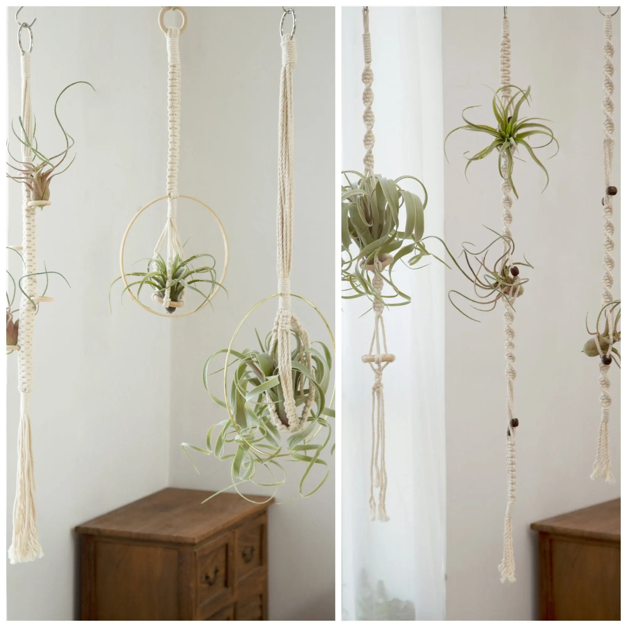 Macrame Air Plant Hanger Hanging With Tassel Air Plant Holder Airplants Display Wall Planter Boho Minimalist Rope Planter Woven