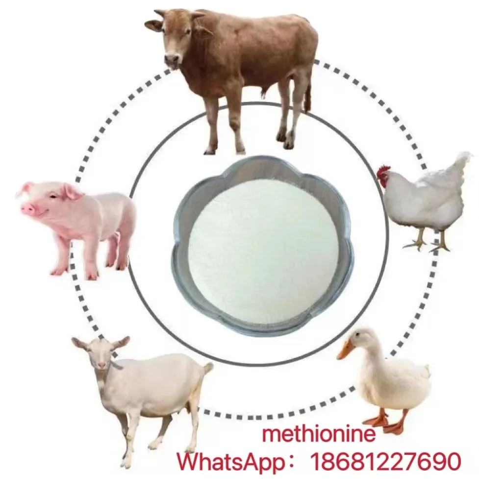 Dairy Cattle Feed Additive dairy cows it reduces feed costs supplements nutrition  enhances cow milk production