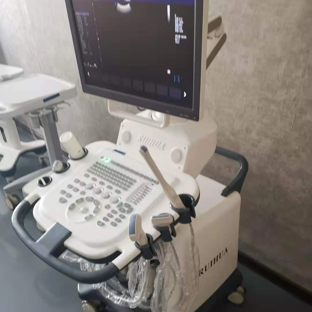 Ruihua brand  3d/4d CW Color Doppler Ultrasound echo machine convex linear