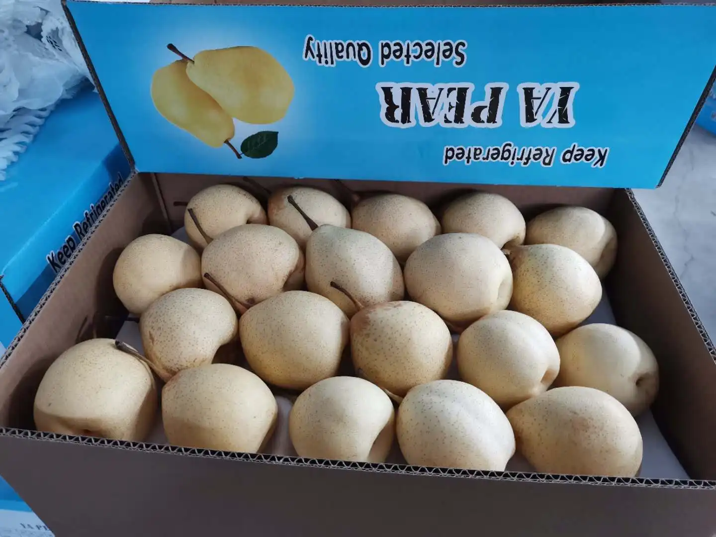 Chinese 2021 new season star sweet and juicy Ya pear/Crystal pear/Asian pear