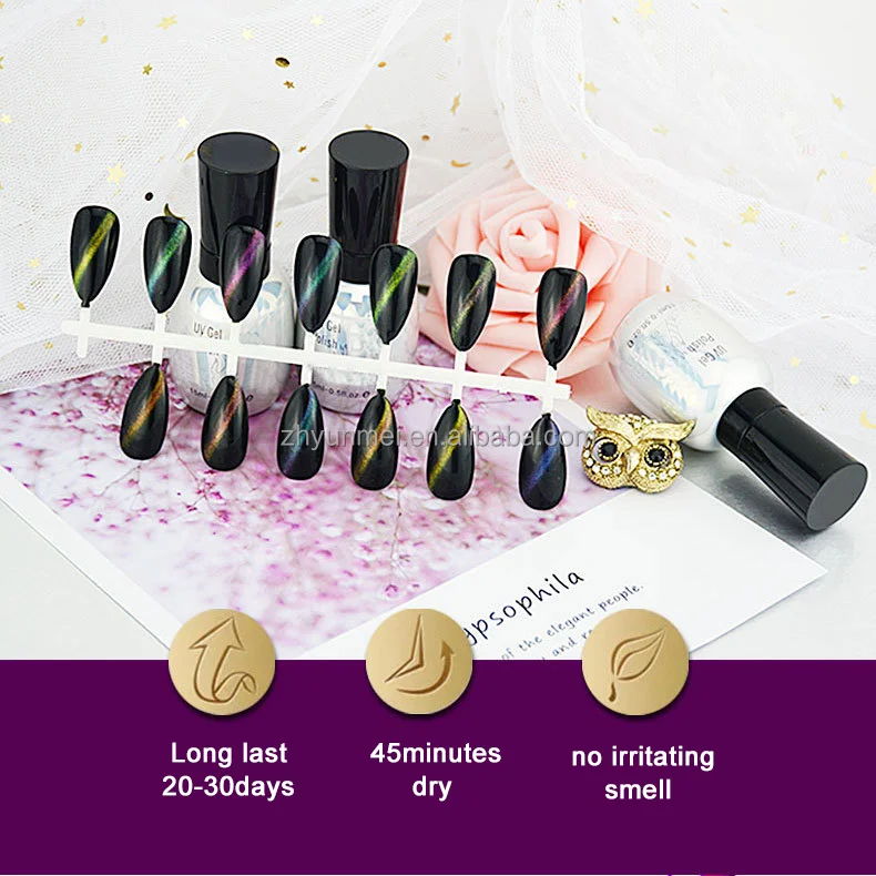 Private Label OEM ODM UV Gel Nail Polish Set Resin Material LED Lamp Source Cat Eye Model Free Sample At-Home Color Gel Factory