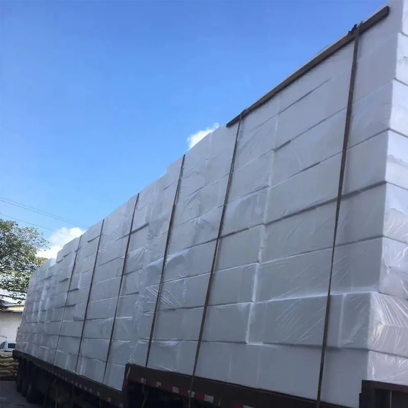 EPS Raw Material Foam Box for Heat Insulation for Fresh Food Transportation