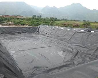 Geomembrane of Waterproof Board Polyethylene and Other Polymer Materials Low Density (LDPE)