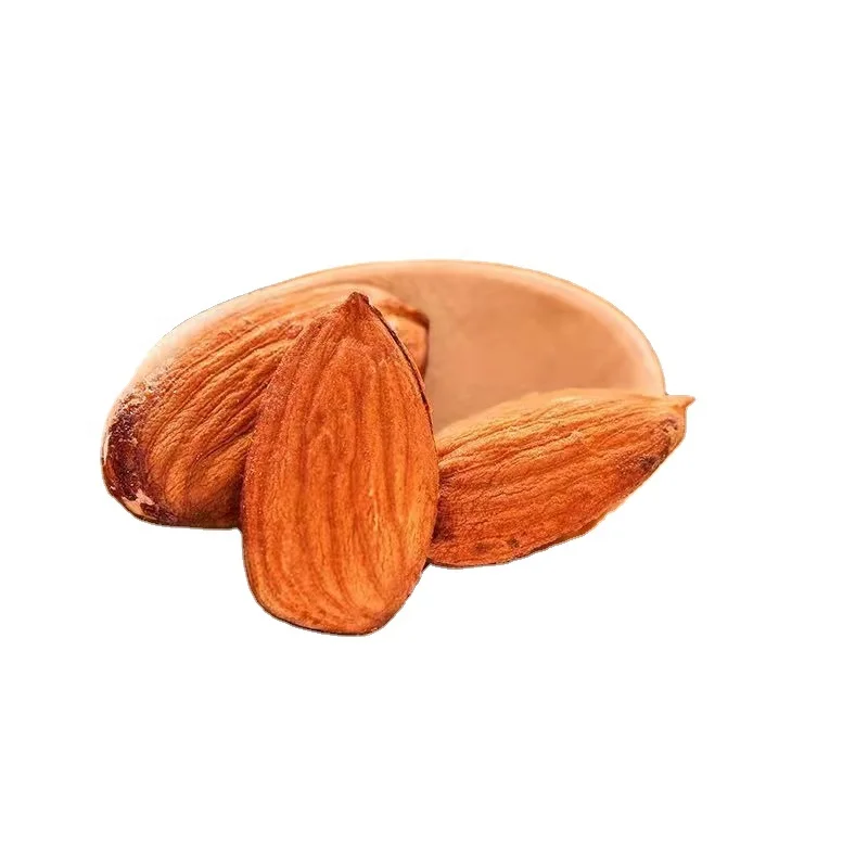 Good Quality and New Crop Almonds Without Shell