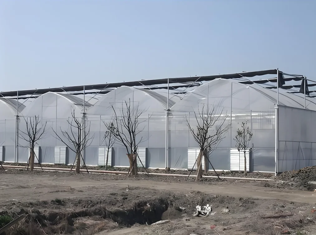 Easy to assemble,robust and steady large multi-span greenhouse for ornamental plants