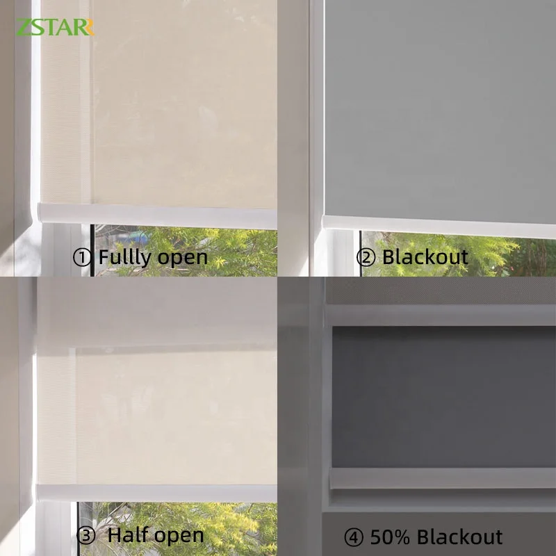 Automatic Blinds Automatic Day and Night Blackout Blinds Dual Layers Rechargeable Motorized Roller Blinds for Hotel Home Office