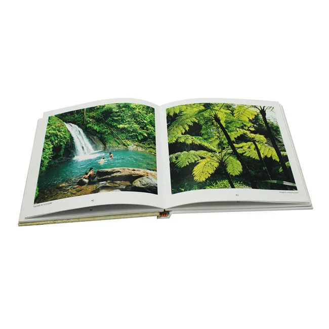 
child boardbook printing board book printing case book printing 