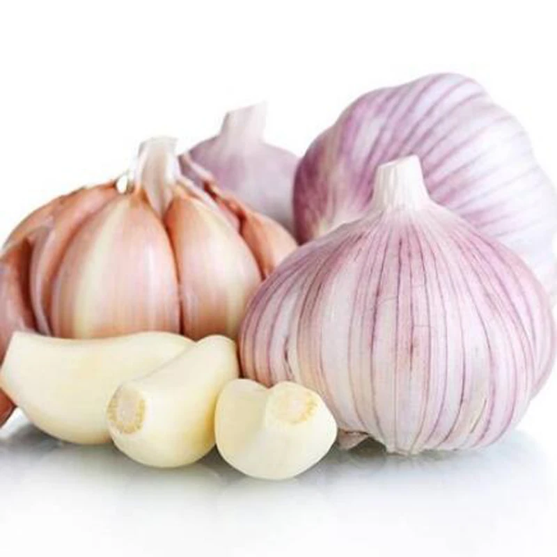 2023 New Fresh White Garlic in 10kg bags