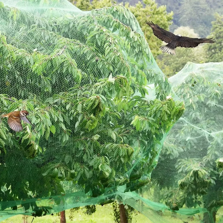 Hot Selling 100% PP Black White Green Anti-bird Agricultural Garden Plastic Bird Netting for Vegetable Farms
