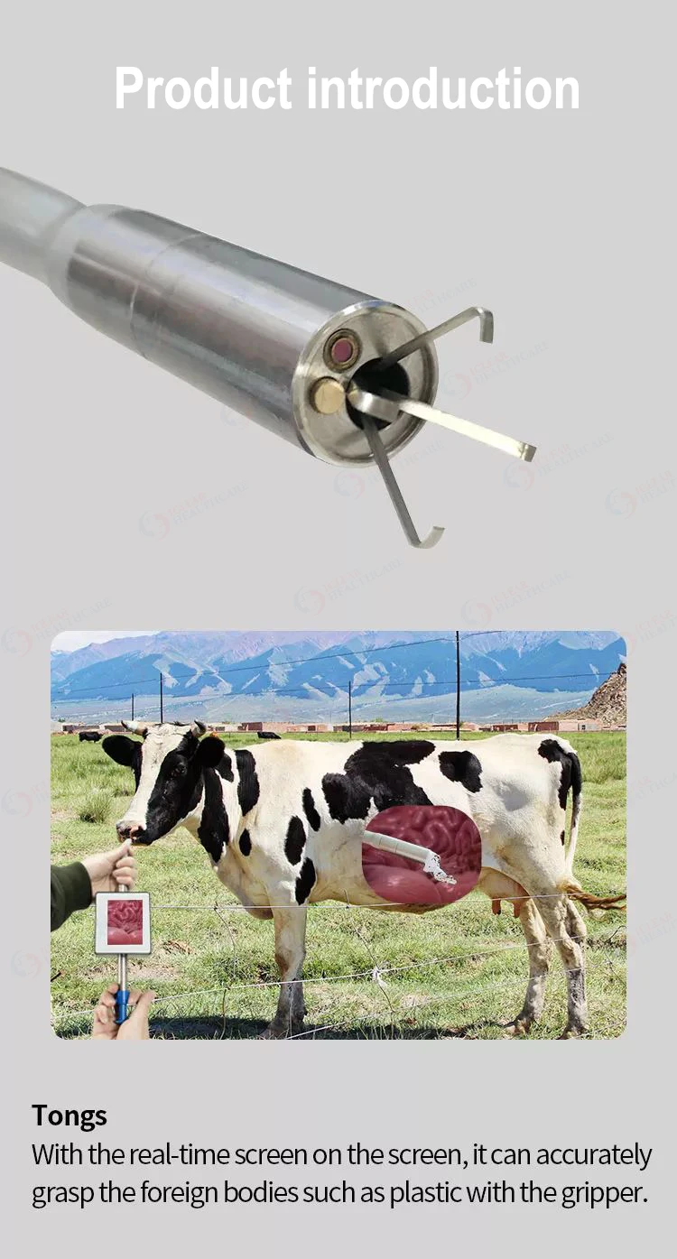 1-1.jpg