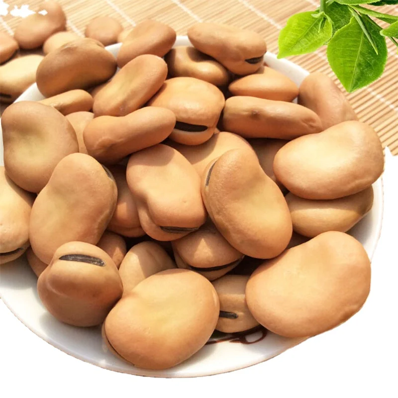 new crop Broad Beans of price