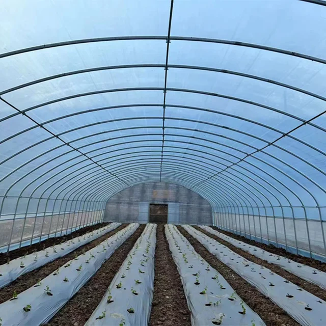 High quality large Single-Span Vegetable Film Greenhouse for Agricultural Use