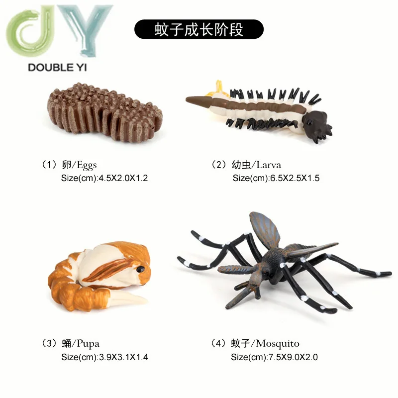 Simulated animal models insects butterflies bees frogs spiders ladybugs snails small animals growth cycle toys