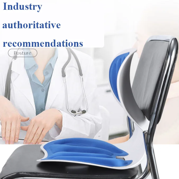 Ergonomic Large Size Back Support Chair, Back Posture Corrector and Lumbar Support for Back Pain Relief