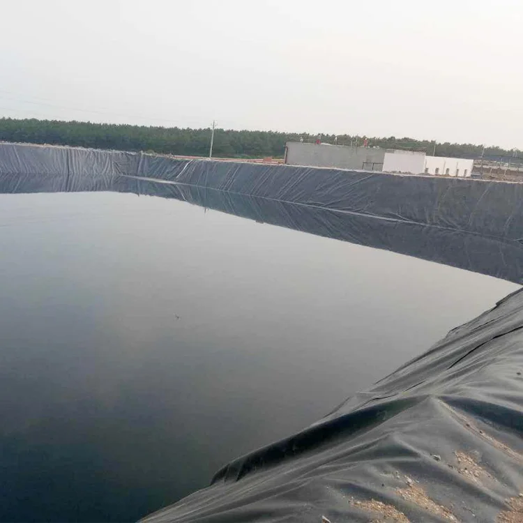  HDPE LDPE LLDPE PVC EVA 1 мм геомембрана для сельского