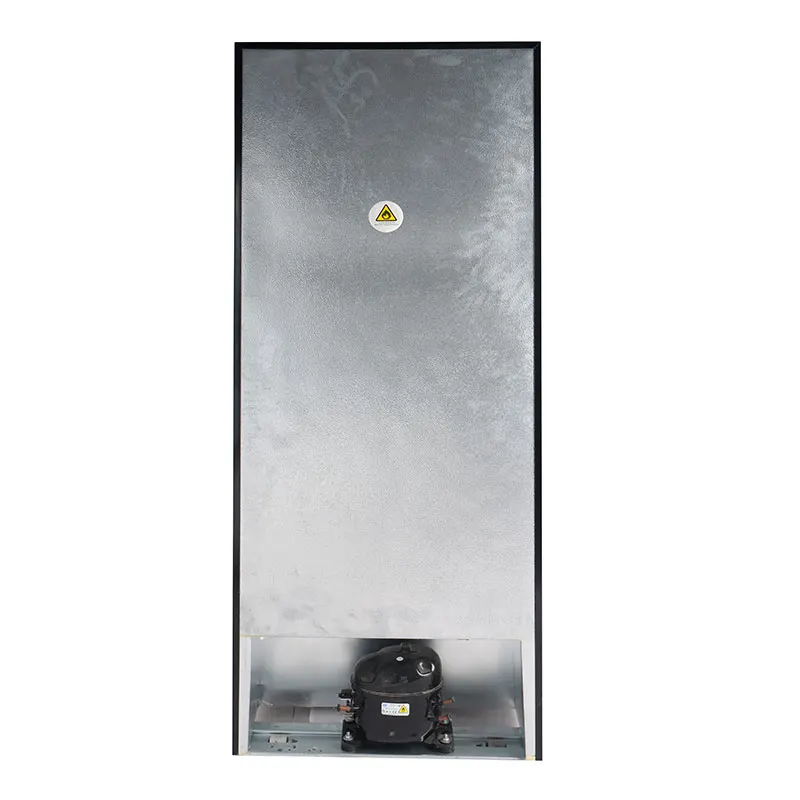 BCD-210 Beverage Meat Fruit Fresh Factory Wholesale Large 2 Doors Refrigerator 24v Freezer
