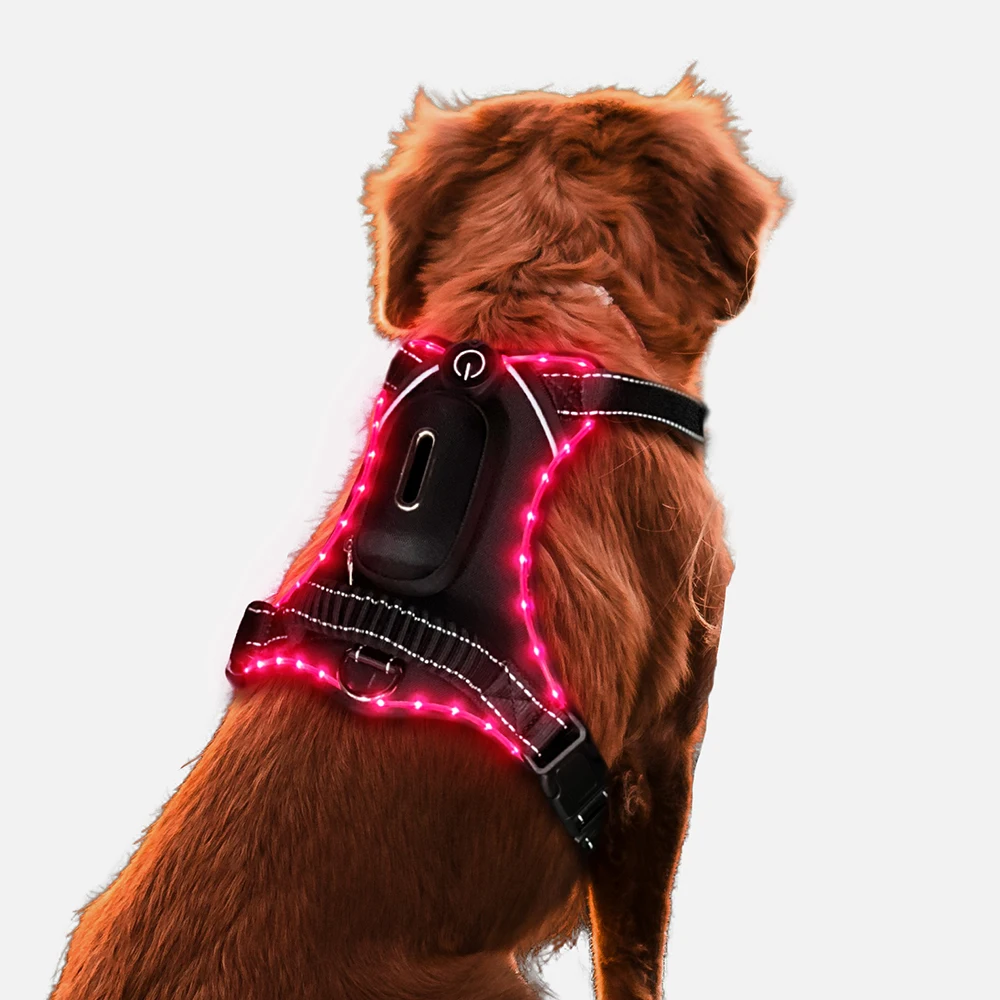New  Design Adjustable Vest Soft Mesh Dog  harness  Led Glowing Dog Cloth for Night Walking