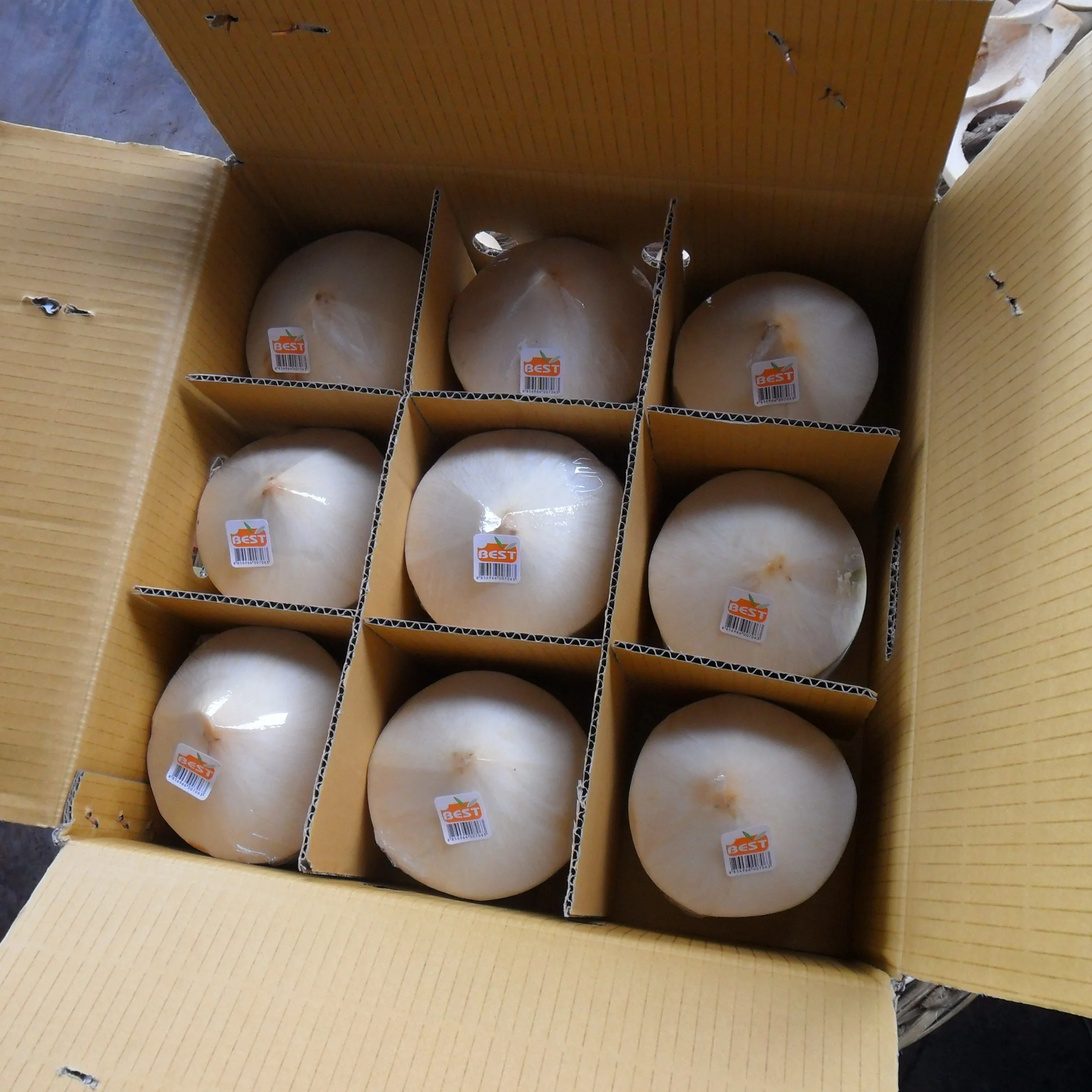 
Coconut fresh wholesle semi husked at low cost from thailand 