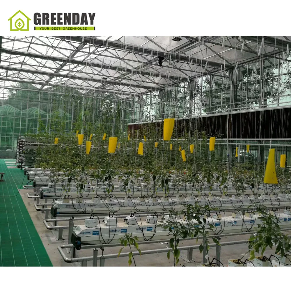 
GREENDAY UV protective polycarbonate garden greenhouse from China Guangzhou plastic 