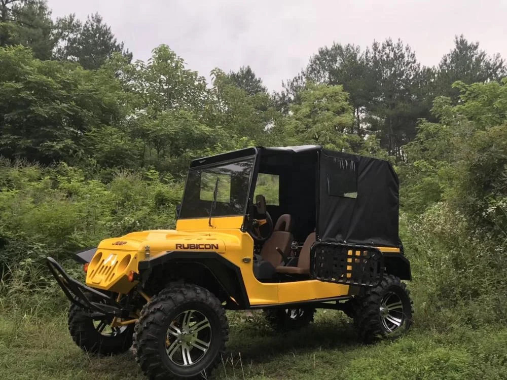 
New Design 4 People Off Road Dune Buggy/Mini Jeep/Electric Car For Fun 