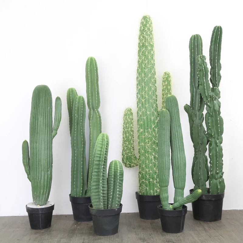 home decor green trees podocarpus bonsai tree artificial plants bonsai tree seeds