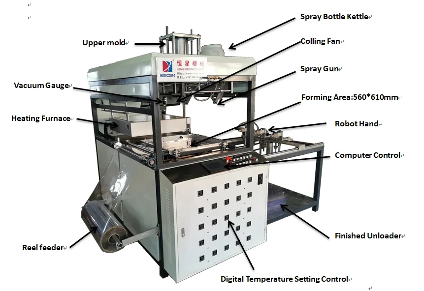 Automatic Factory APET,PETG,GAG, PS,PP, PVC thermoforming machine