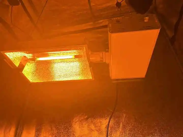 WHGROW Professional Lighting Double Ended 1000Watt HPS Grow Light